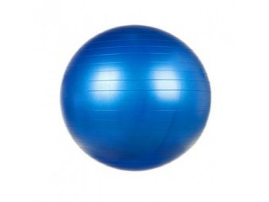 Мяч гимнаст. антиразр.VEGA-501/65 синий