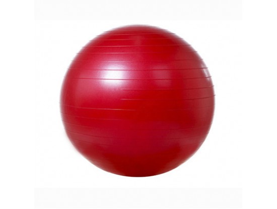 Мяч гимнастический гладкий с системой ABS Экотен VEGA - 501/55